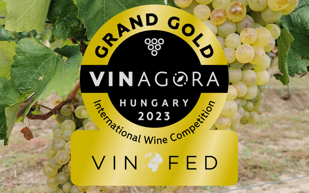 A Naár Pincészet 2019. évi 6 puttonyos Sárgamuskotály Aszúja nagyarany minősítést nyert a VINAGORA 2023 borversenyen